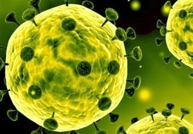شیوع ویروس کرونا در شبه قاره هند و پاکستان