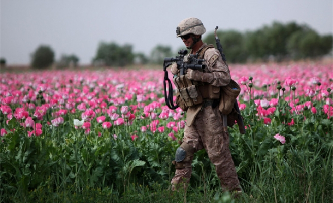 واکاوی اقدامات آمریکا برای تبدیل افغانستان به قطب تولید مواد مخدر