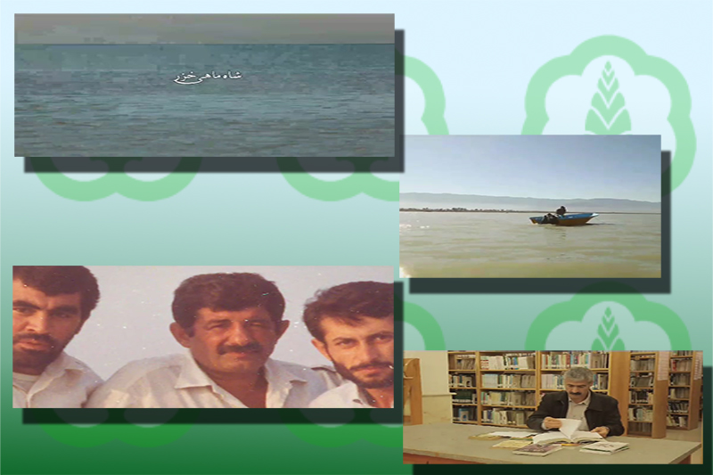 پخش مستند «شاه ماهی خزر» در شبکه گلستان