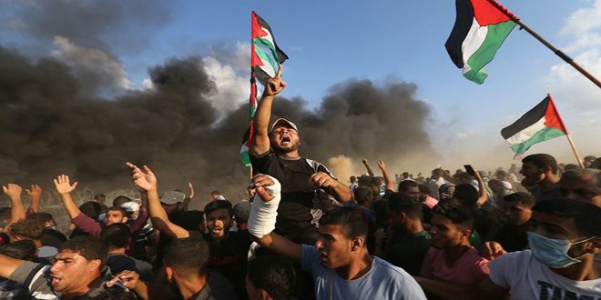 روایت مقاومت 22 روزه فلسطین در مستند «فریاد سپیده‎دم»