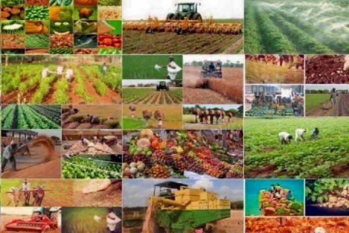 نقش و جایگاه بانوان در عرصه کشاورزی
