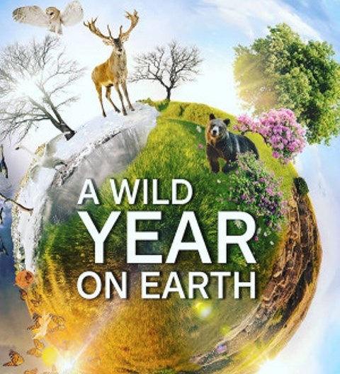 «یک سال با طبیعت وحشی زمین» در شبکه چهار سیما