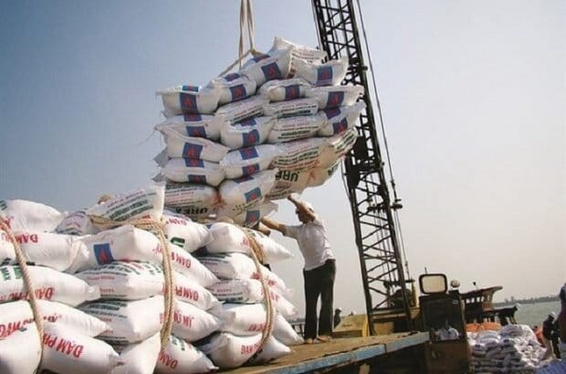 بررسی وضعیت واردات برنج در فصل برداشت