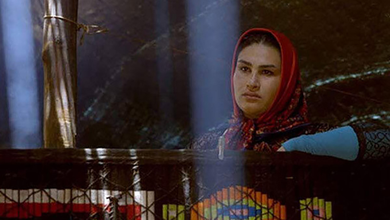 «سوسن در سحر می‌شکفد» از شبکه مستند پخش می‌شود
