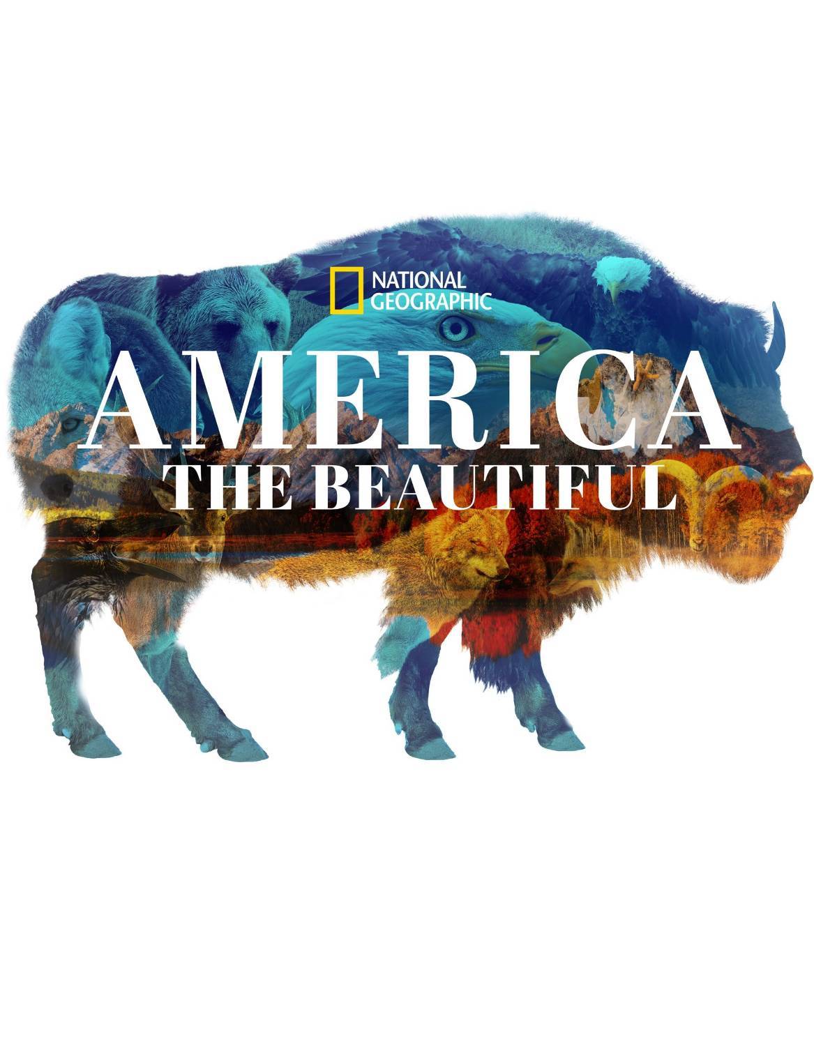 جلوه‌گری «زیبایی‌های قاره آمریکا» در شبکه مستند